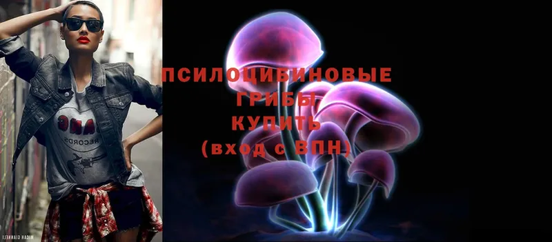 купить  цена  Гагарин  Галлюциногенные грибы Magic Shrooms 